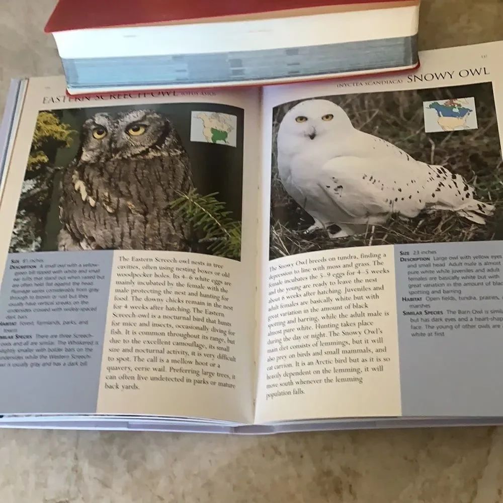 2 Bird Reference Books - Picture 5 of 8